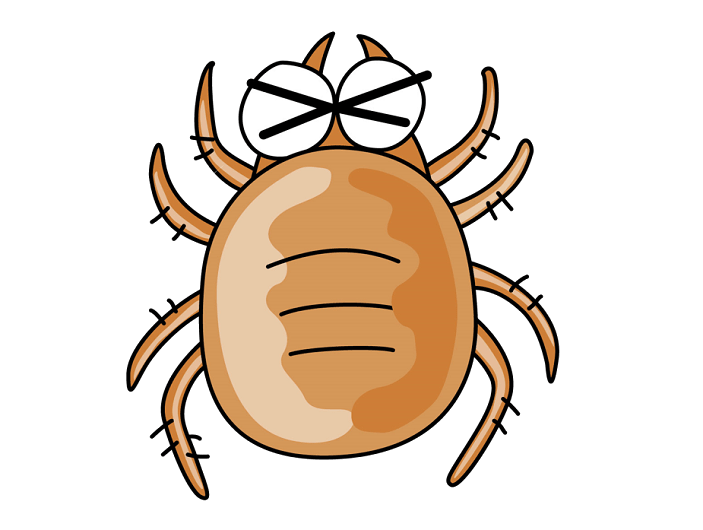 木綿ワタ コットン を使った敷き布団はダニの温床 木綿の布団の重大なデメリットです 雲のやすらぎレビューサイト 評判から最安値の販売店まで解説