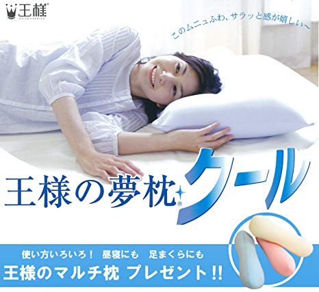 王様の夢枕と王様の抱き枕の最安値販売店の情報 返金 交換もできる 雲のやすらぎとあわせて使おう 雲のやすらぎレビューサイト 評判から最安値の販売店まで解説 王様の夢枕と王様の抱き枕の最安値販売店の情報 返金 交換もできる 雲のやすらぎとあわせて使おう 雲のやすらぎレビューサイト 評判から最安値の販売店まで解説