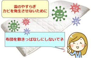 雲のやすらぎカビ対策